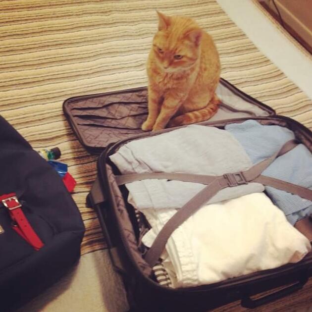Lola wants to go with me!